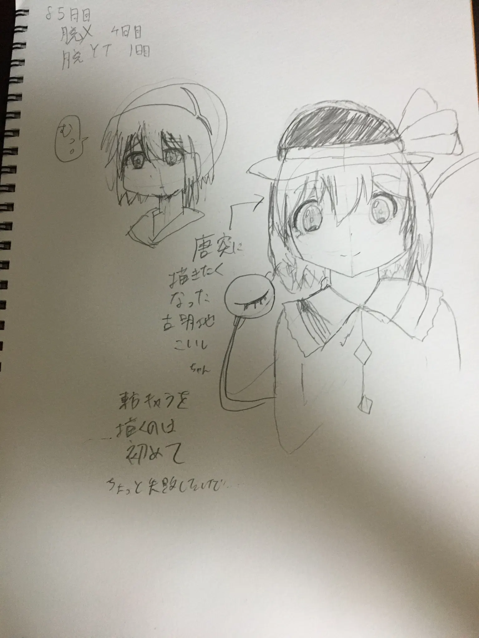 85日目